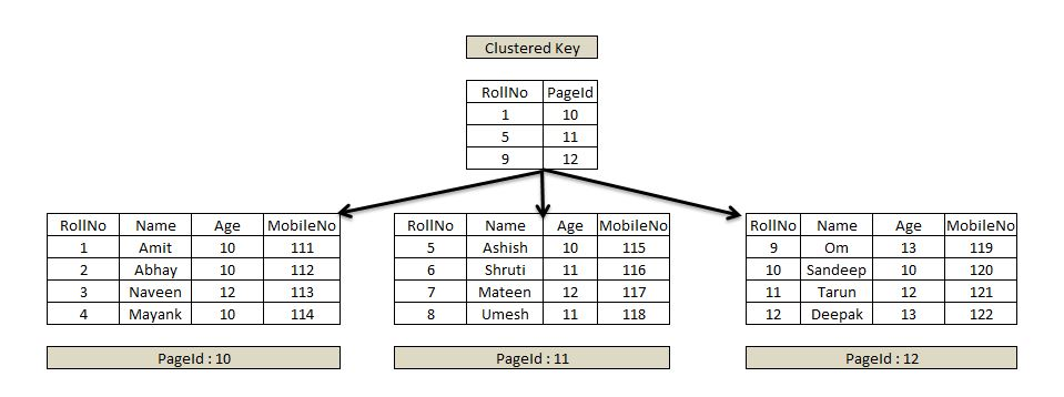 SQL Server의 클러스터 인덱스